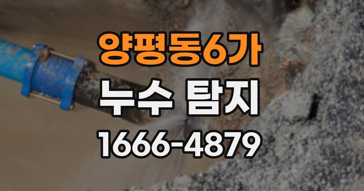 양평동6가 누수 탐지