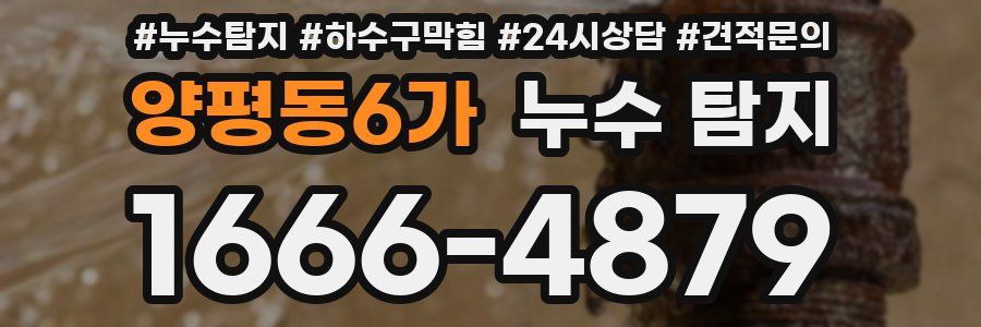 양평동6가 누수 탐지