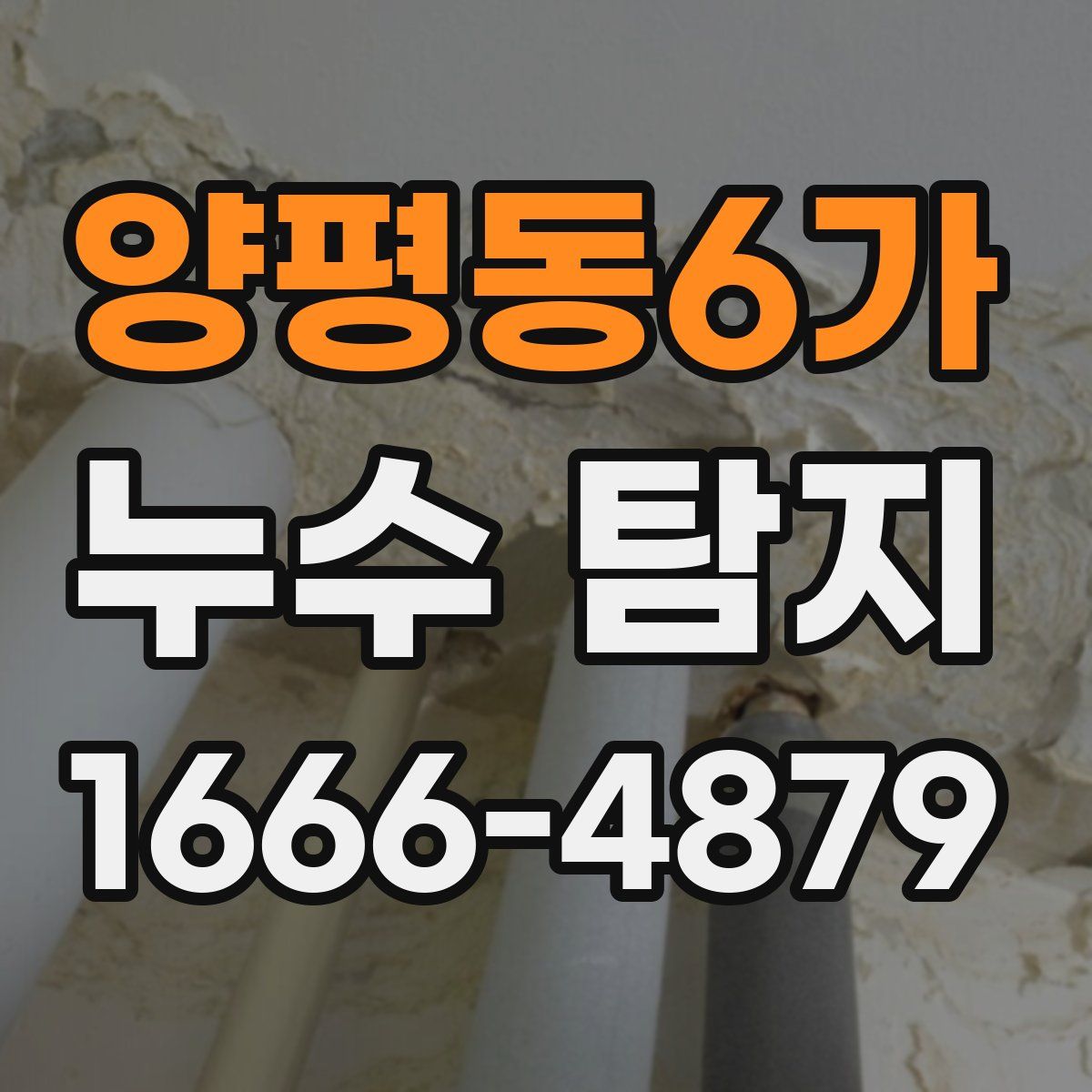 양평동6가 누수 탐지