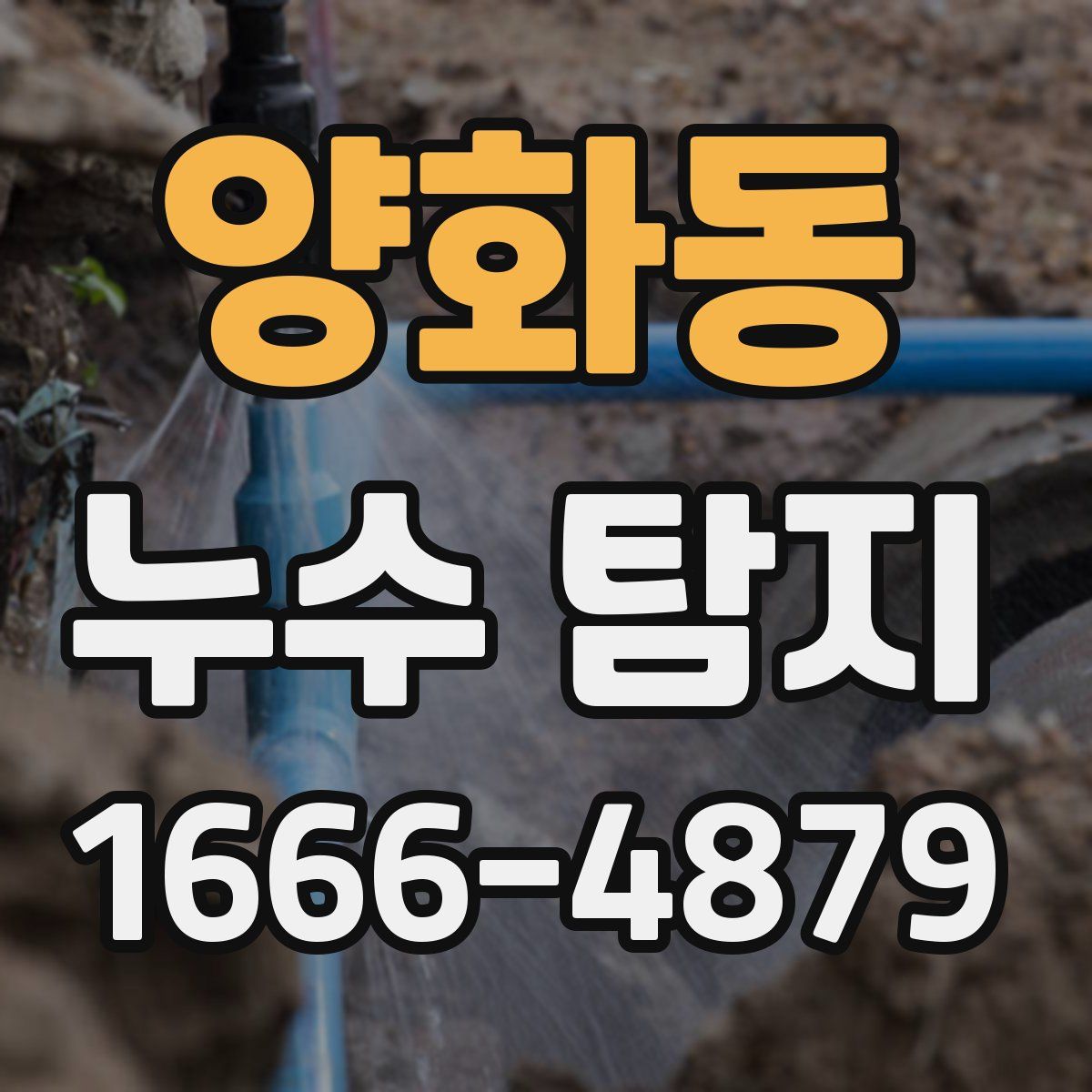 양화동 누수 탐지
