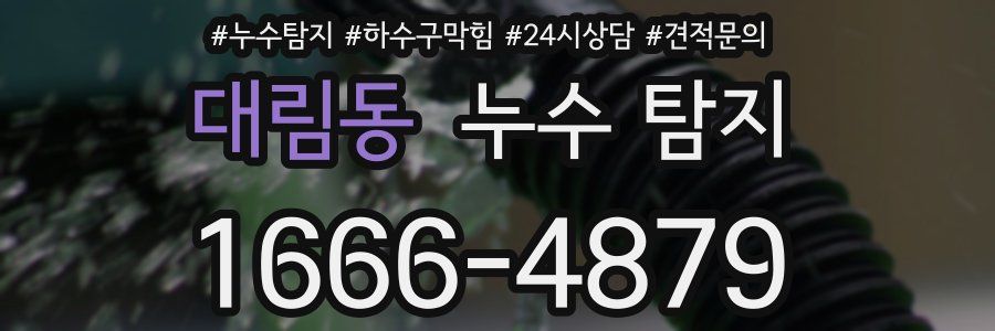 대림동 누수 탐지