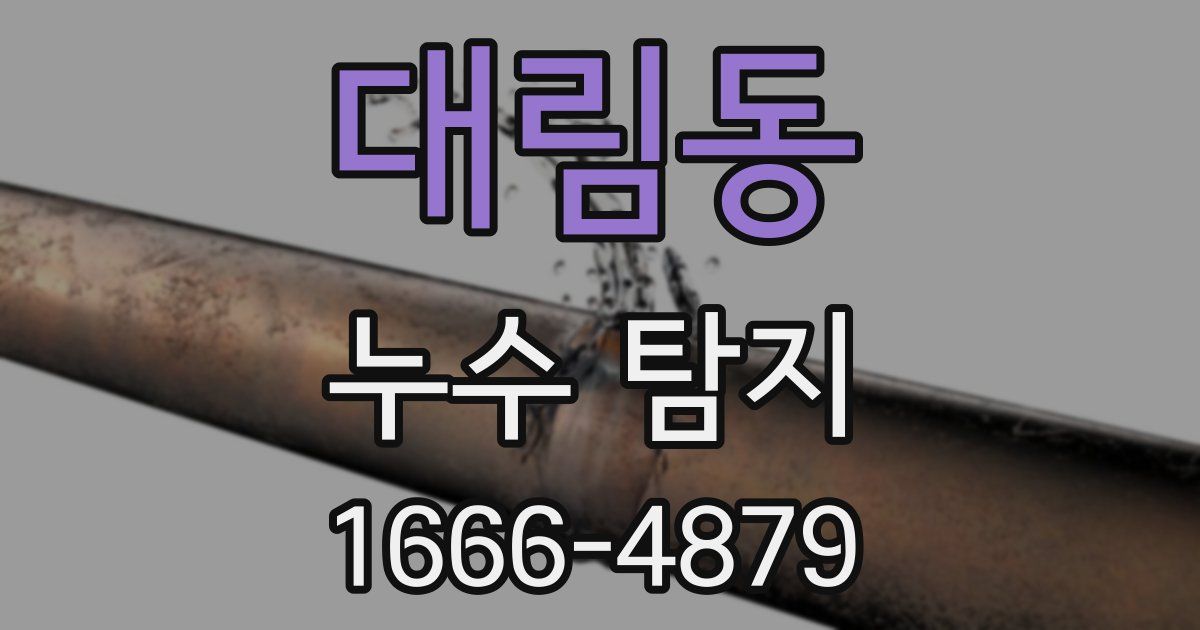 대림동 누수 탐지