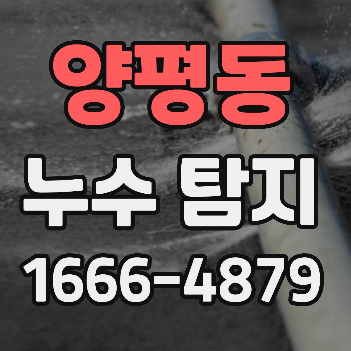 양평동 누수 탐지