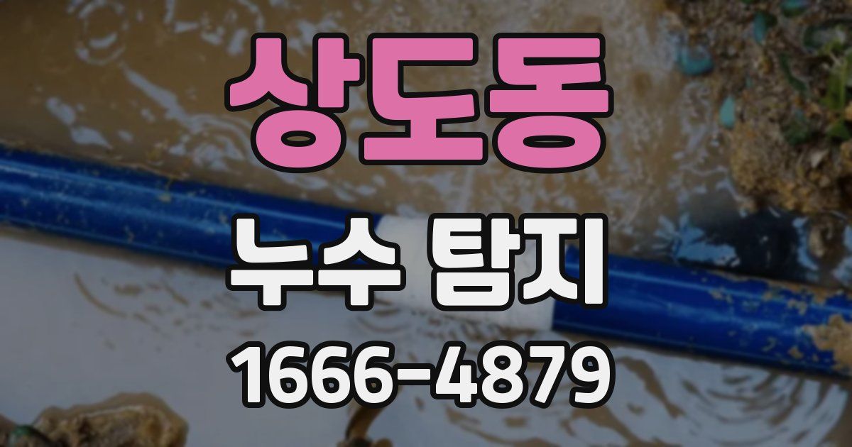 상도동 누수 탐지