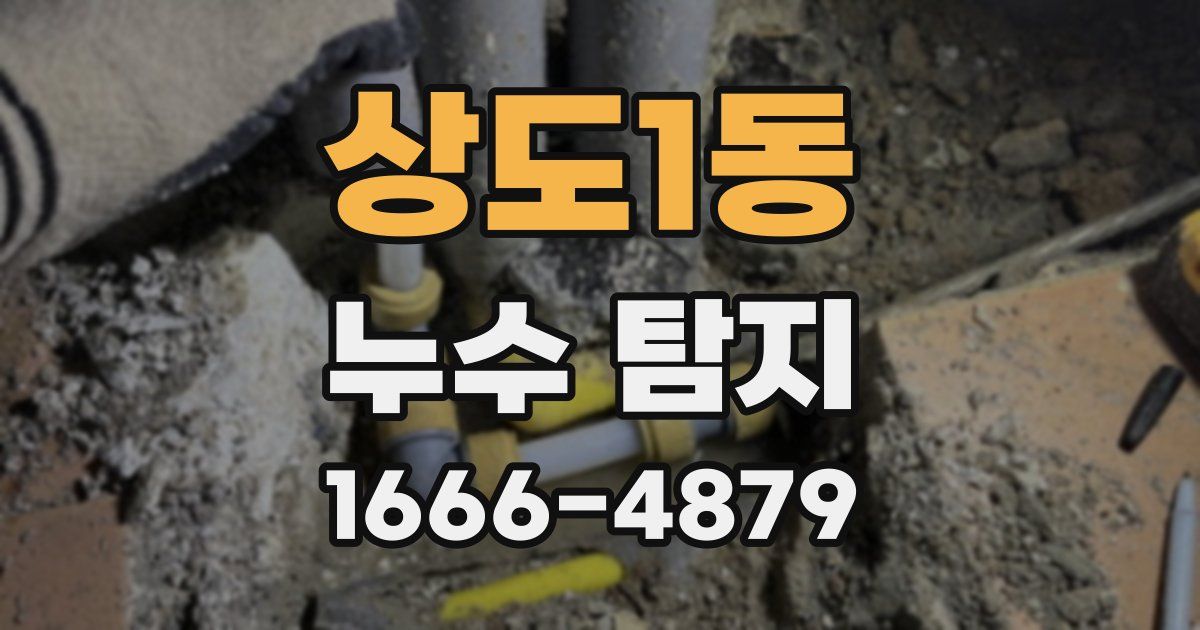 상도1동 누수 탐지