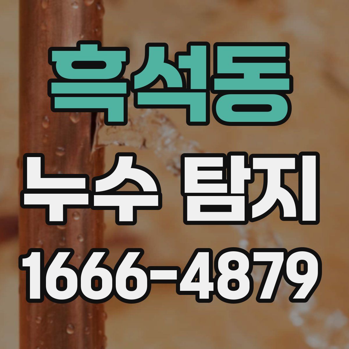 흑석동 누수 탐지