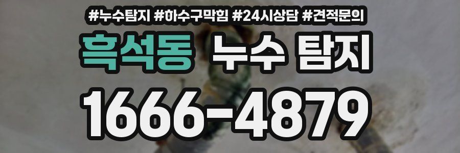 흑석동 누수 탐지
