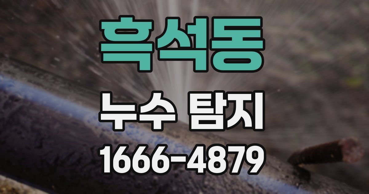 흑석동 누수 탐지