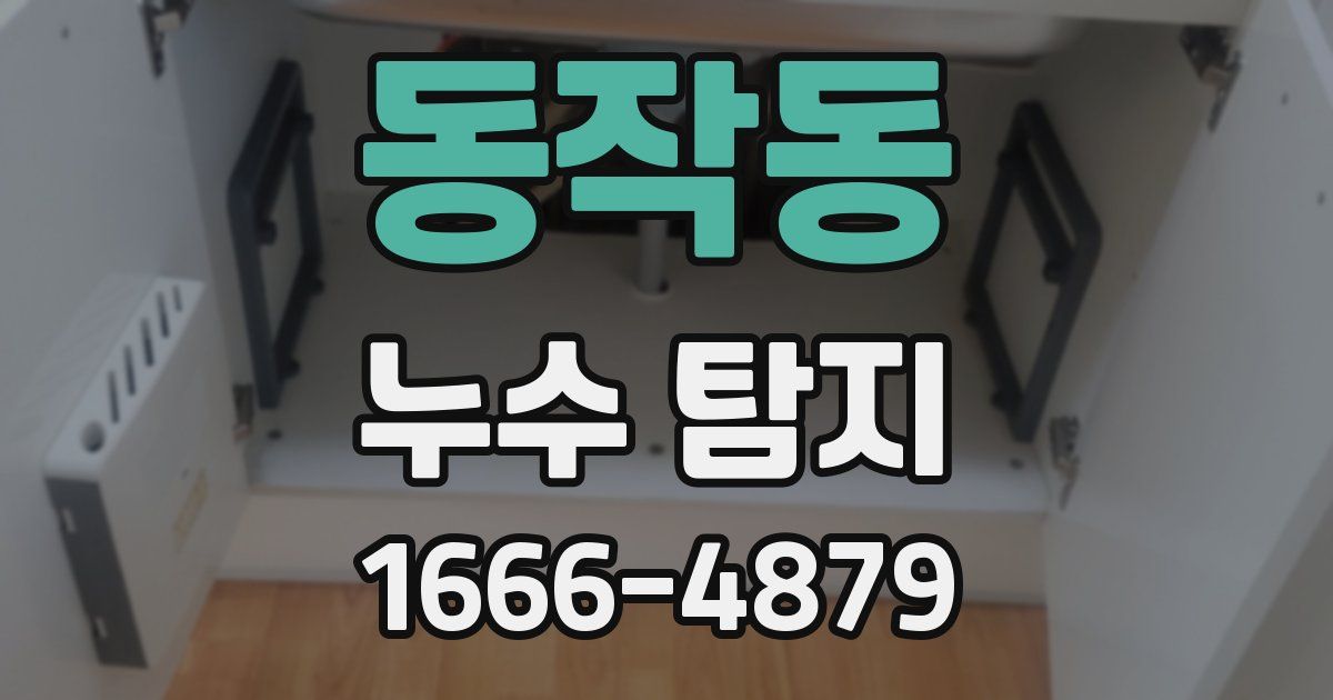 동작동 누수 탐지