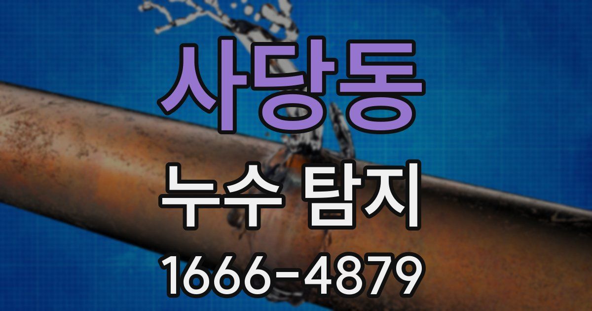 사당동 누수 탐지