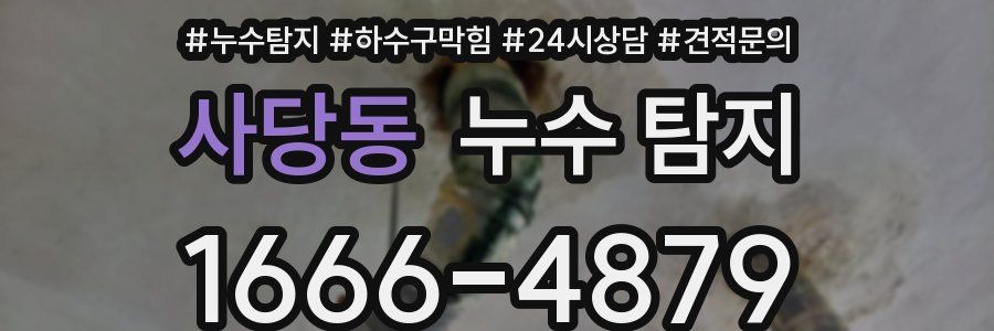 사당동 누수 탐지