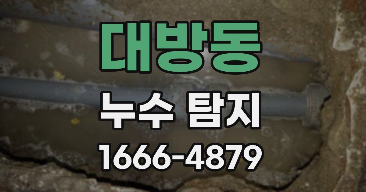 대방동 누수 탐지
