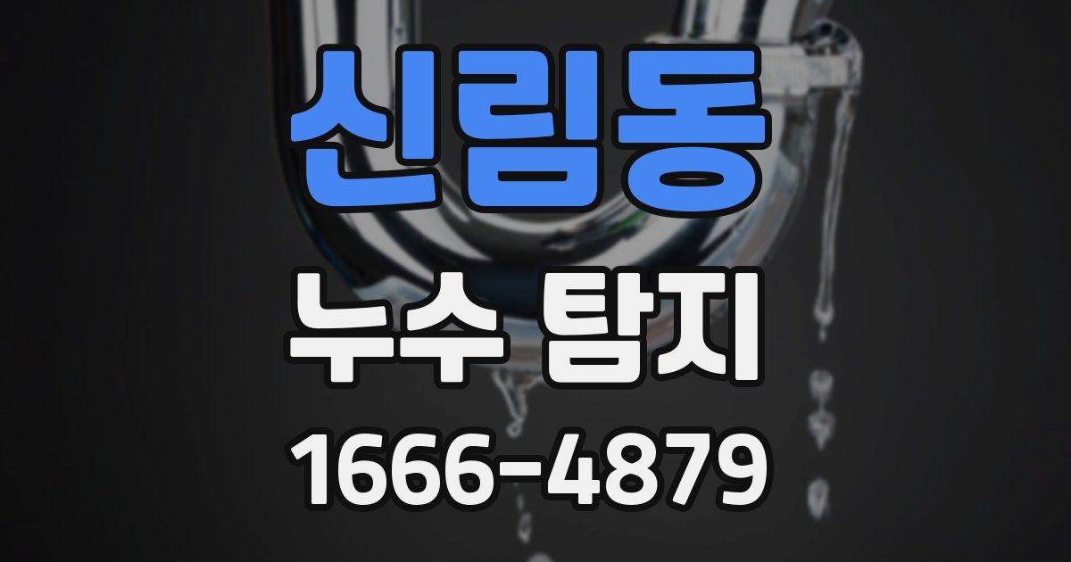 신림동 누수 탐지