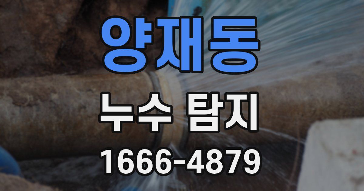 양재동 누수 탐지