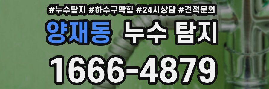양재동 누수 탐지