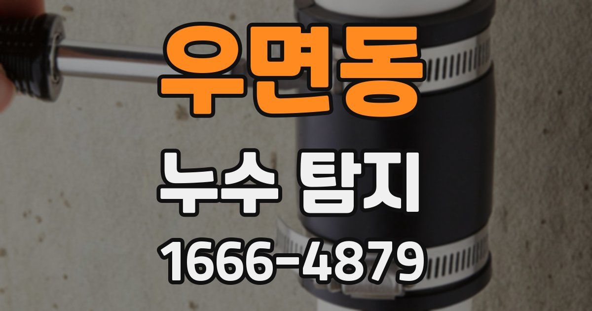 우면동 누수 탐지