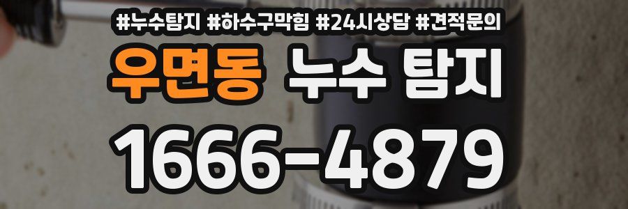우면동 누수 탐지