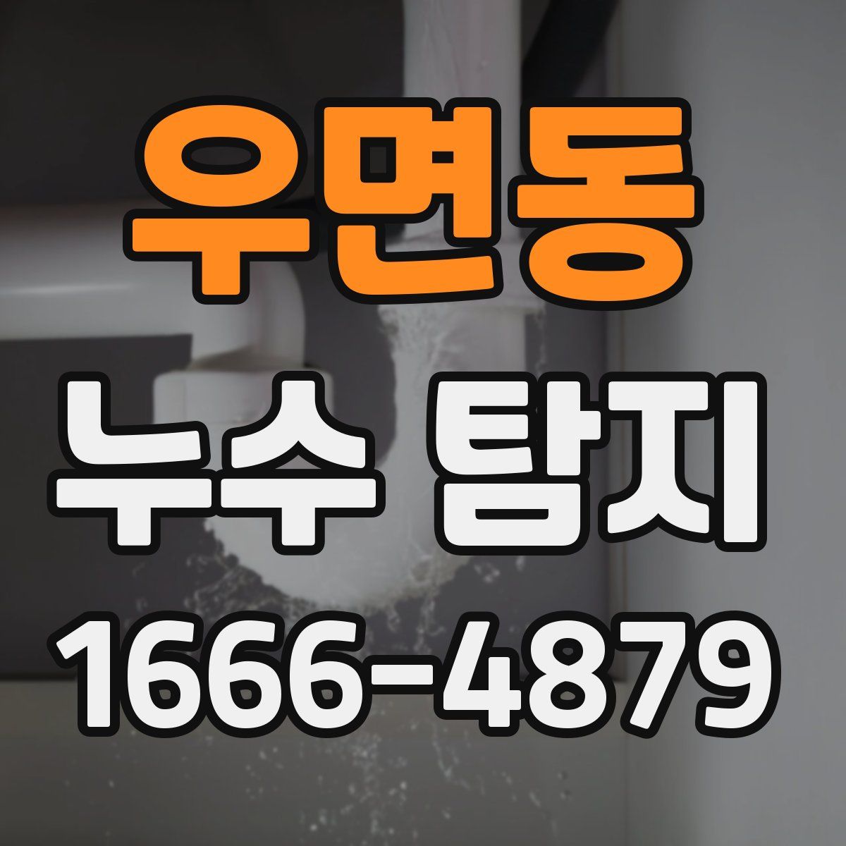 우면동 누수 탐지