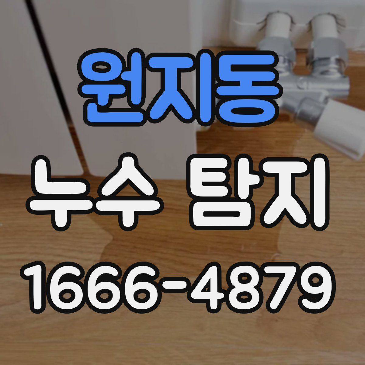 원지동 누수 탐지