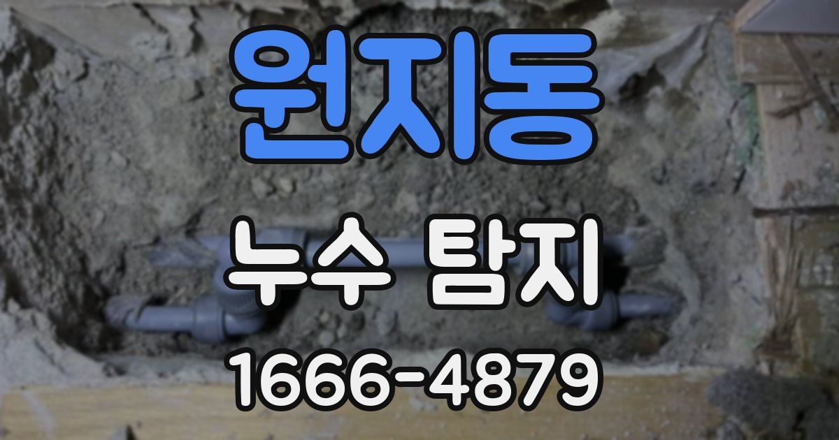 원지동 누수 탐지