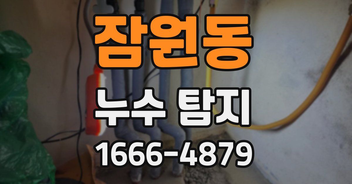잠원동 누수 탐지