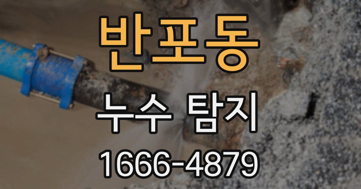 반포동 누수 탐지