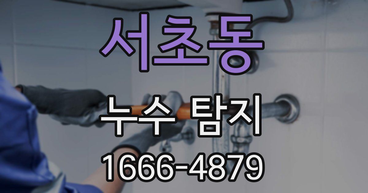 서초동 누수 탐지