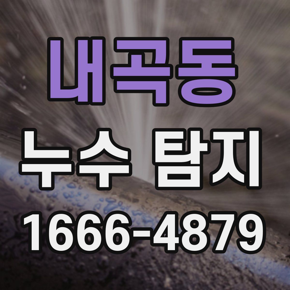 내곡동 누수 탐지