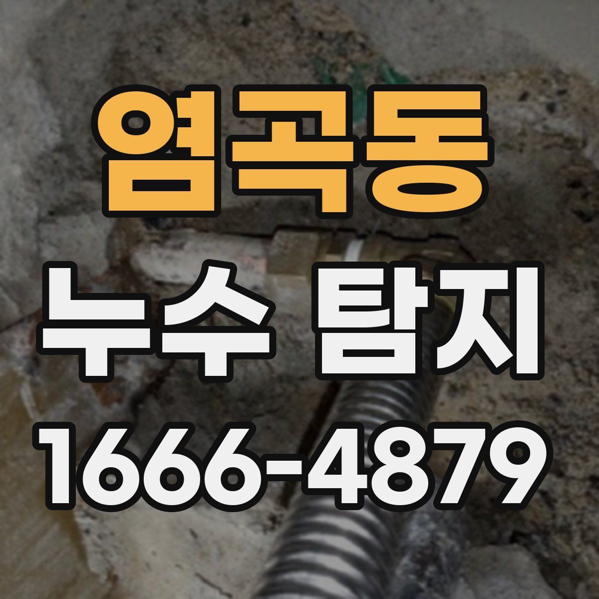염곡동 누수 탐지