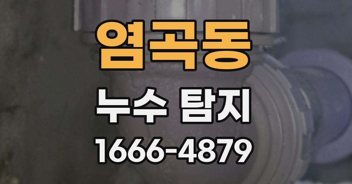 염곡동 누수 탐지