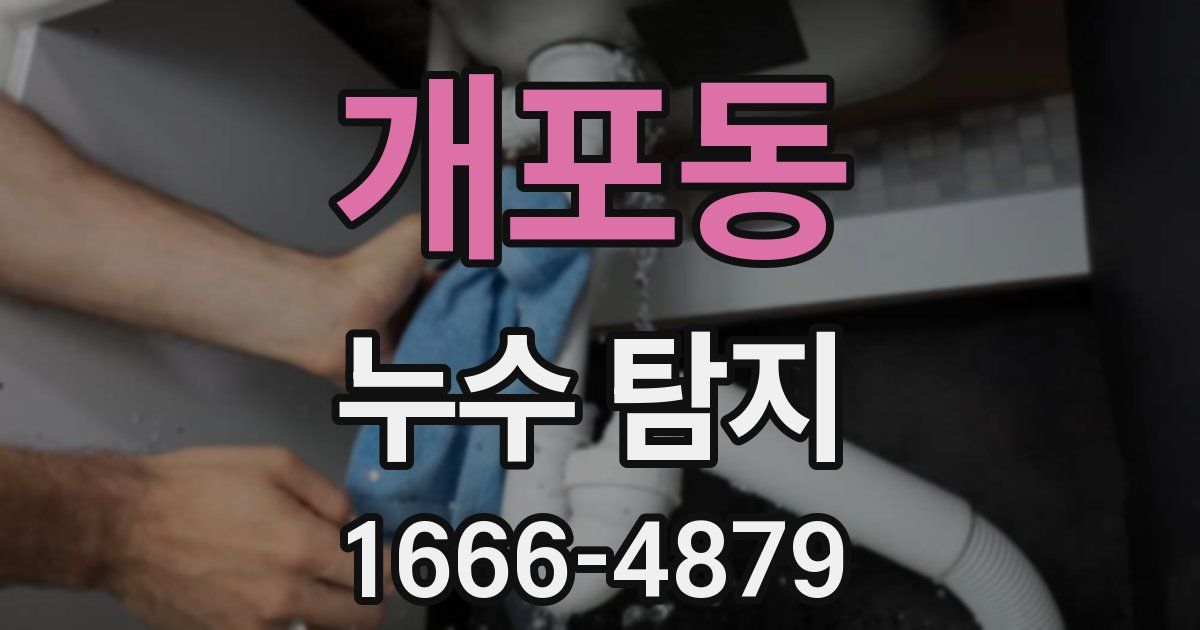 개포동 누수 탐지