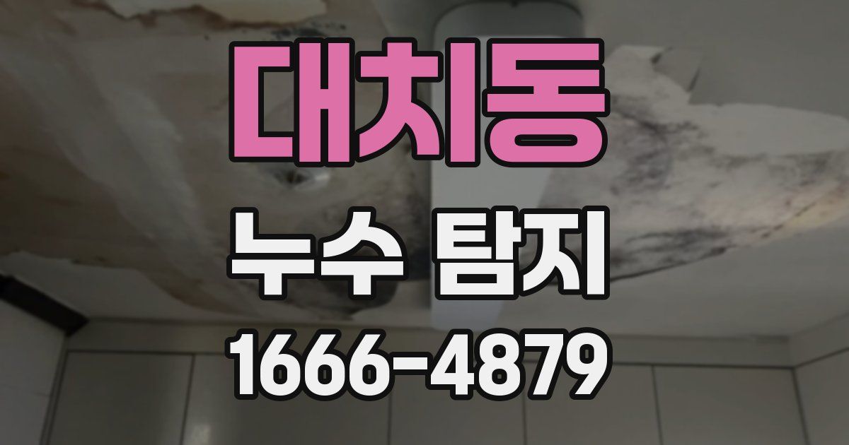 대치동 누수 탐지