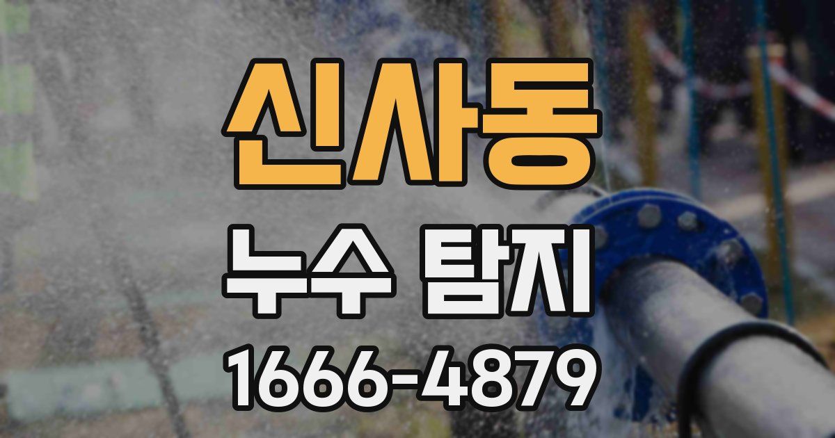 신사동 누수 탐지