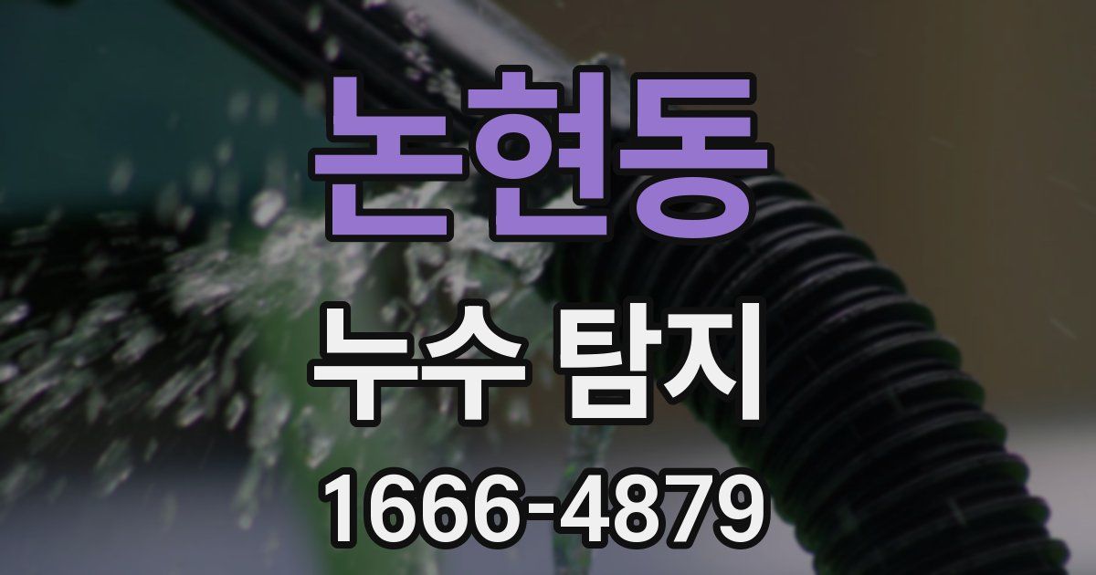 논현동 누수 탐지