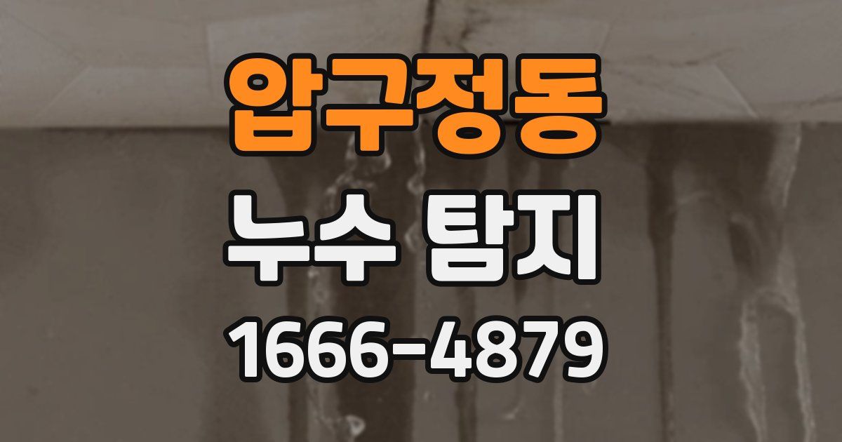압구정동 누수 탐지