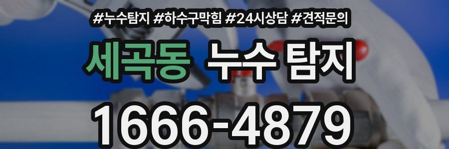 세곡동 누수 탐지