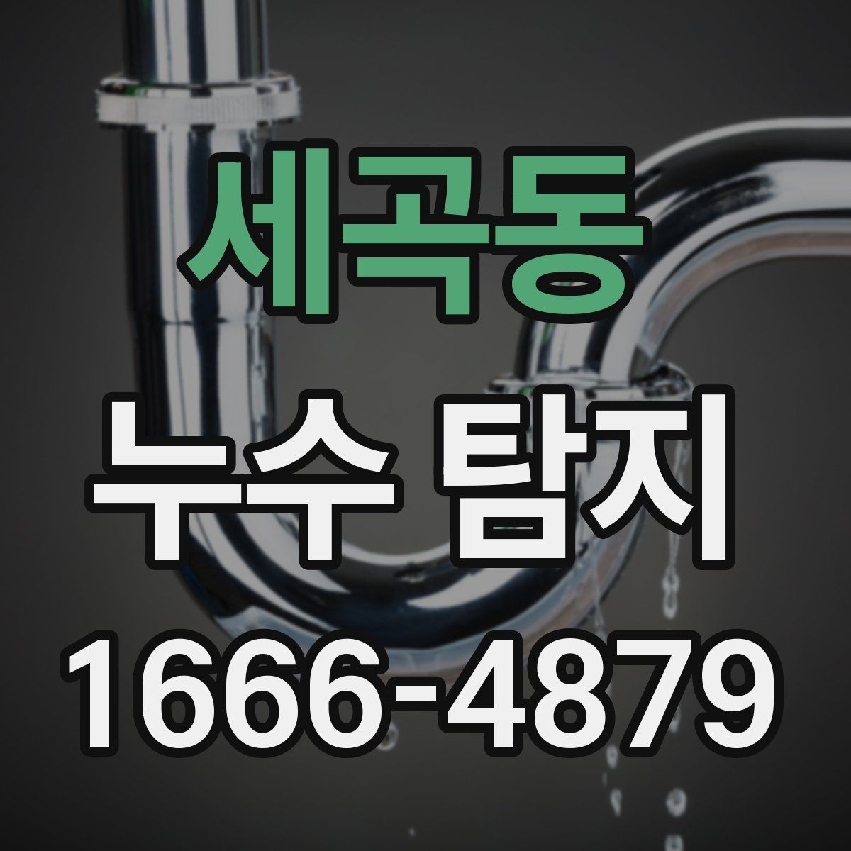 세곡동 누수 탐지