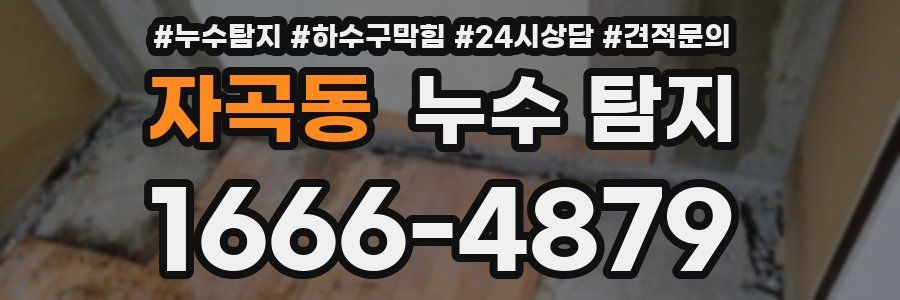자곡동 누수 탐지