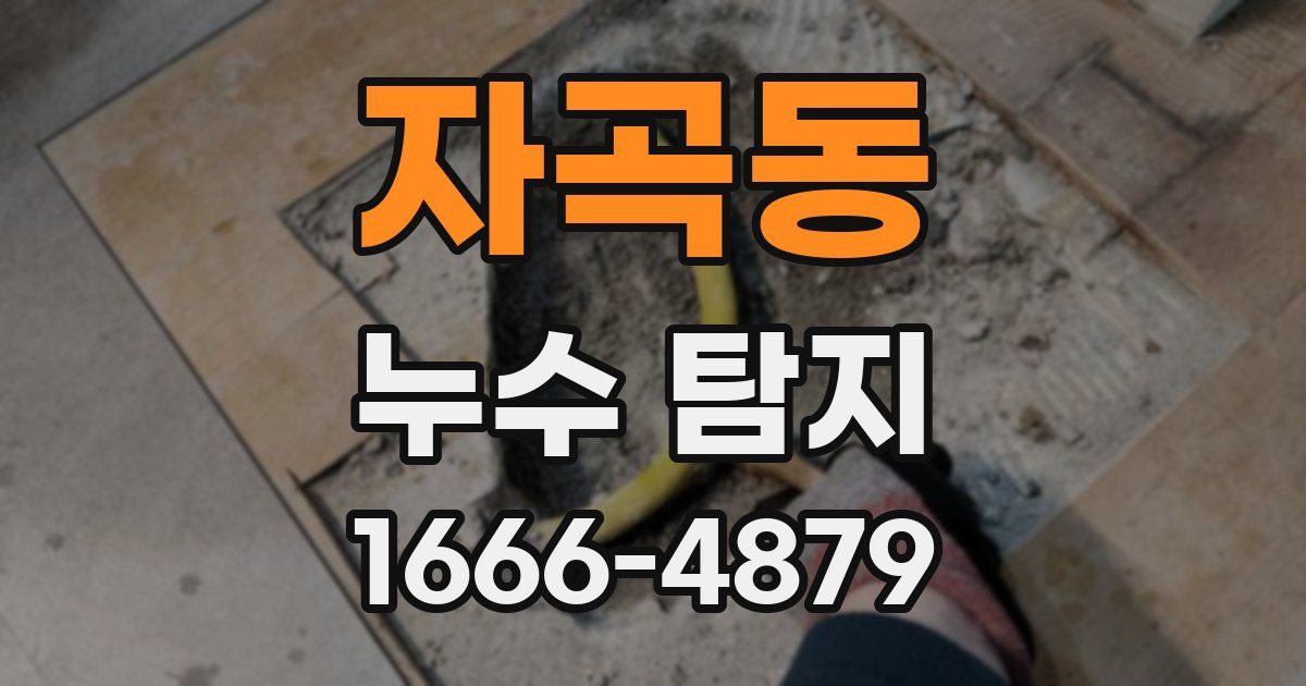 자곡동 누수 탐지