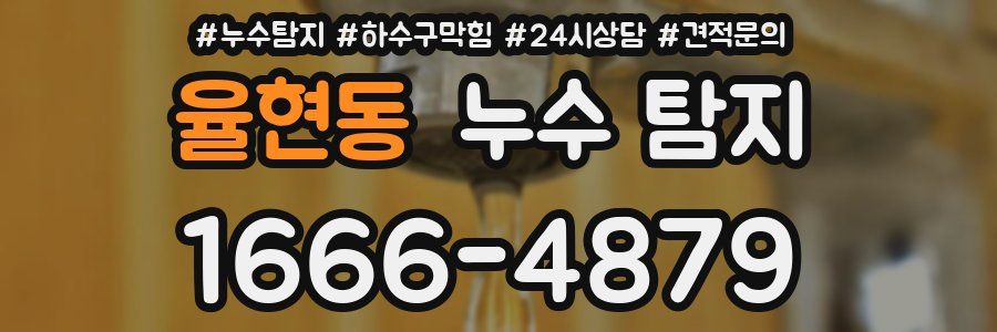 율현동 누수 탐지