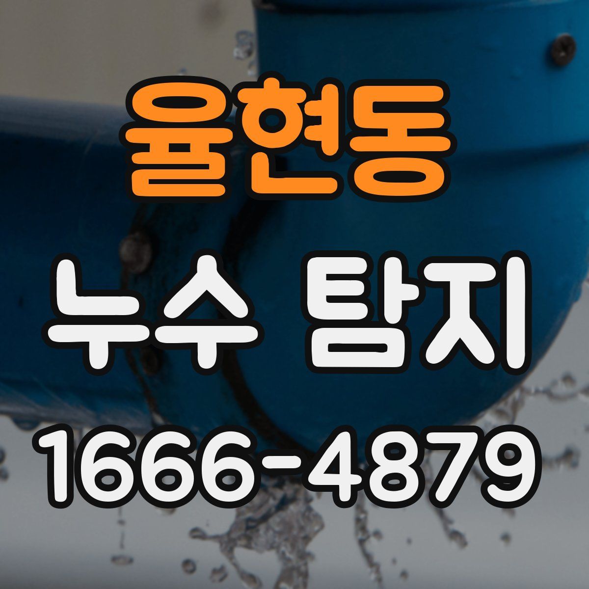 율현동 누수 탐지