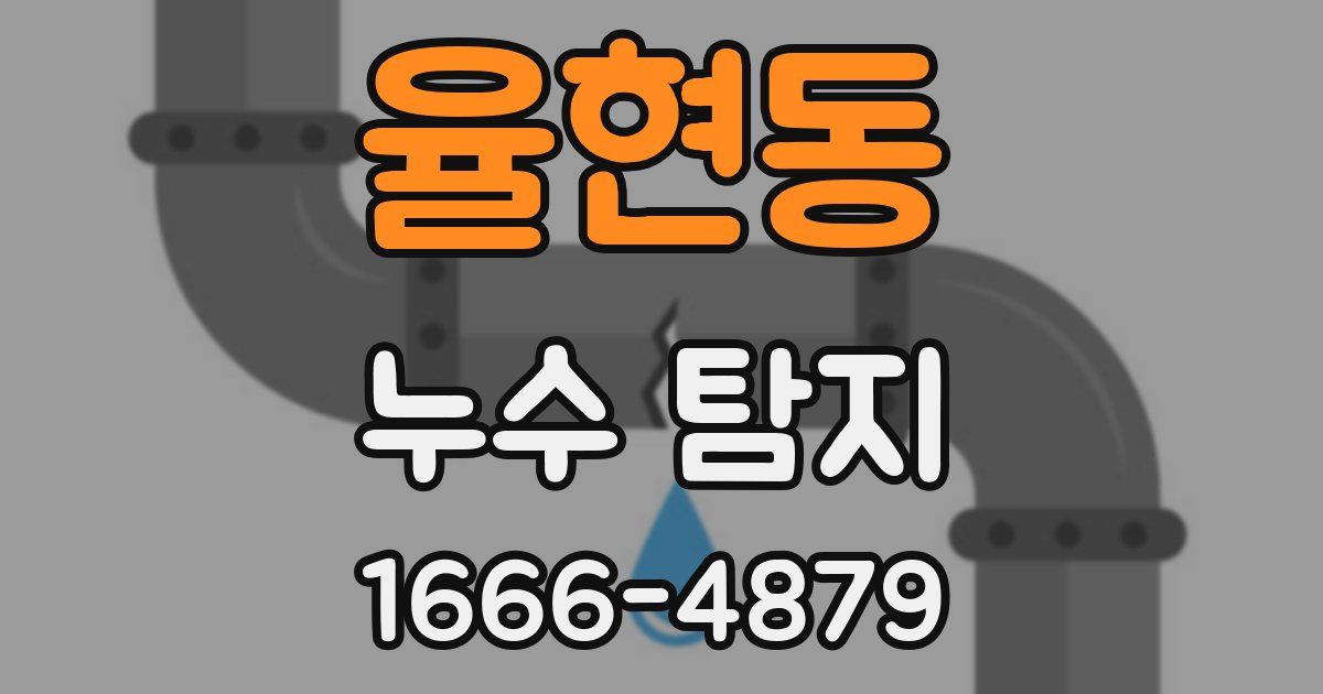 율현동 누수 탐지