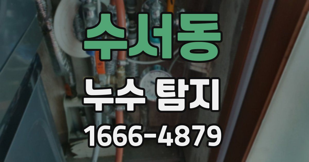 수서동 누수 탐지