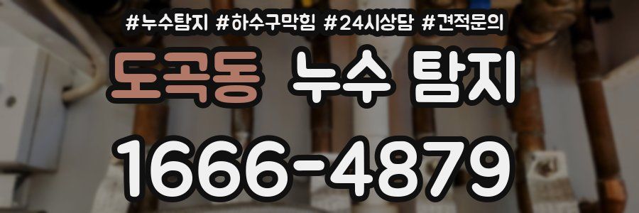 도곡동 누수 탐지