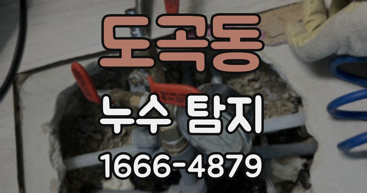 도곡동 누수 탐지