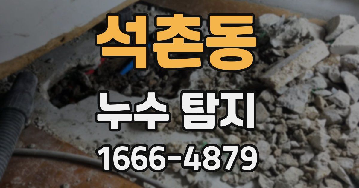 석촌동 누수 탐지