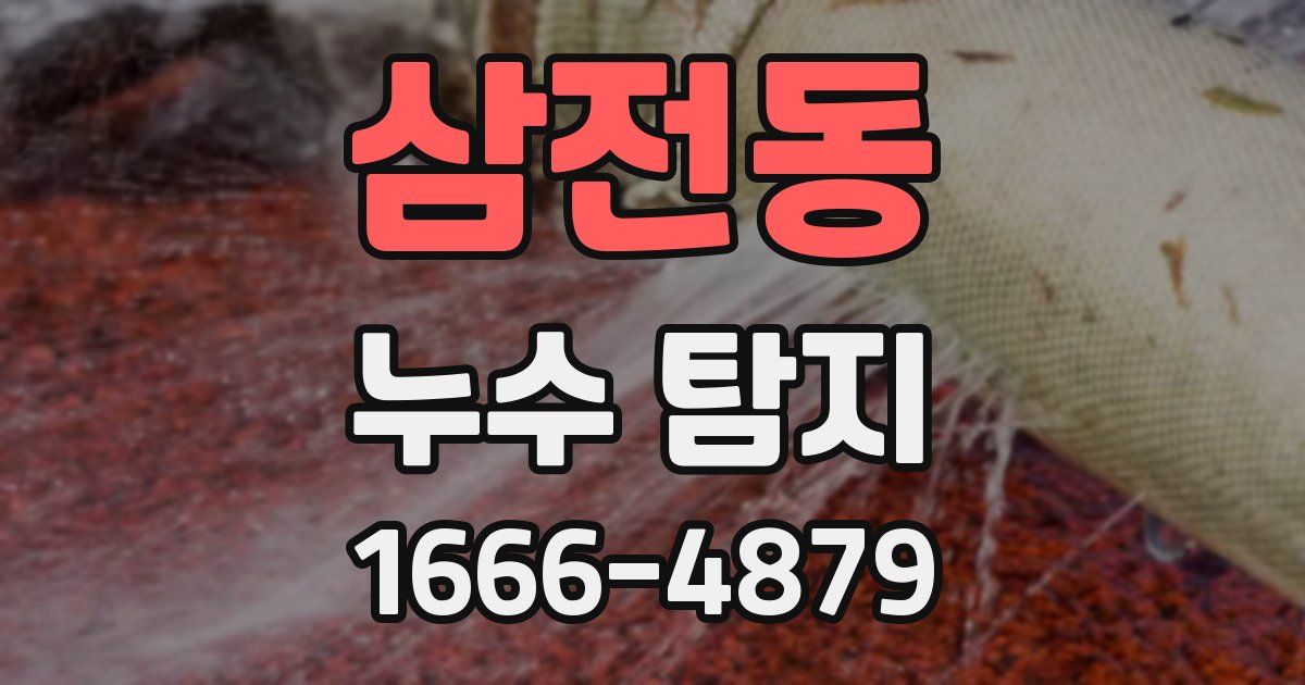 삼전동 누수 탐지