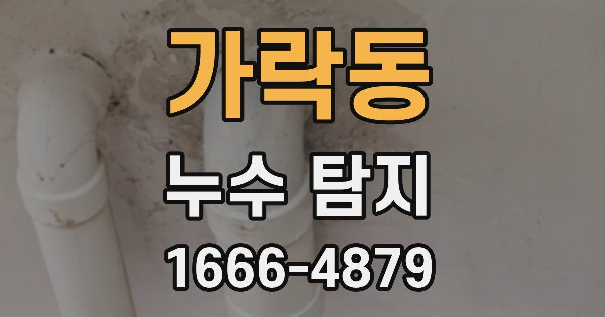 가락동 누수 탐지