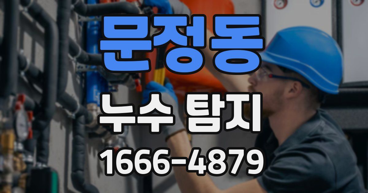 문정동 누수 탐지