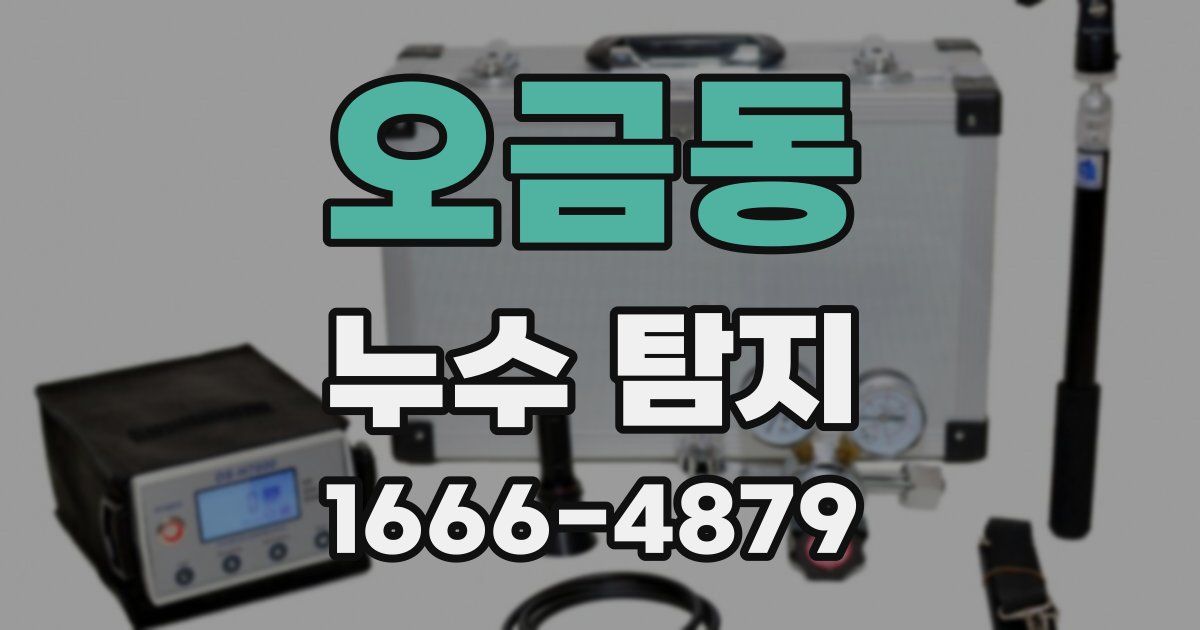 오금동 누수 탐지